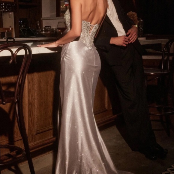 Ladivine by Cinderella Divine, size 6, silver, strapless, Prom/Black Tie event - Picture 9 of 9